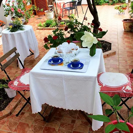 Vaya Zorba Aparthotel Skiathos Town