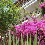 Vaya Zorba Hotel apartamentowy