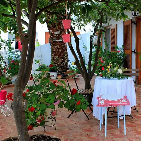 Lejlighedshotel Vaya Zorba Skiathos by