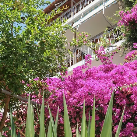 Vaya Zorba Lejlighedshotel