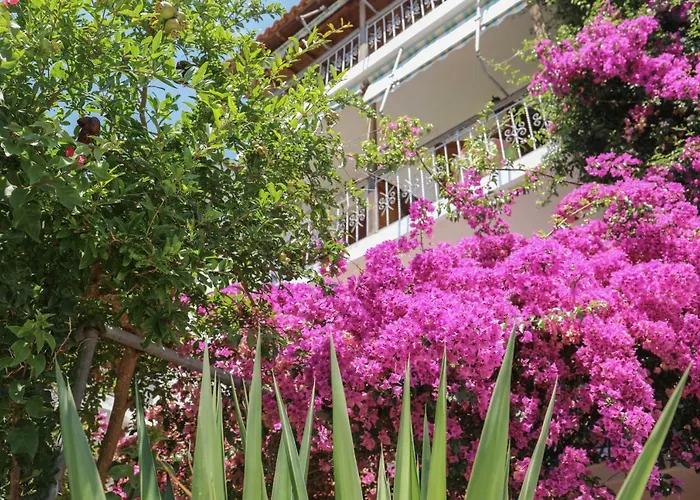 Vaya Zorba Aparthotel